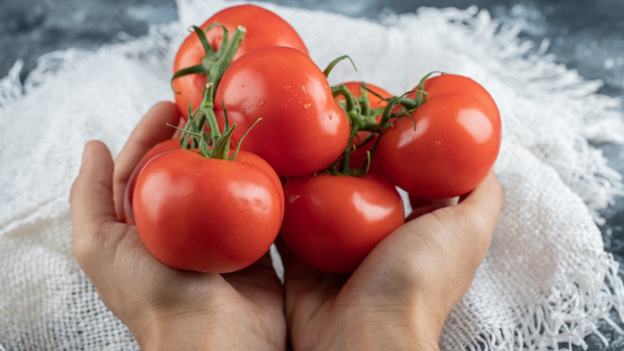 Томат, будто яблоки: крупные плоды на кисти, а куст дает богатый урожай до самой осени — подглядела этот лайфхак у соседки Фёдор Тарасенко — талантливый селекционер-самоу...