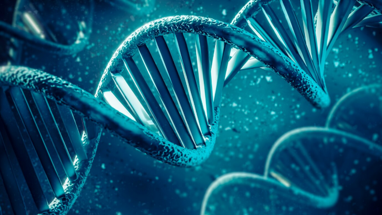 Все современные живые существа имеют общего пре...