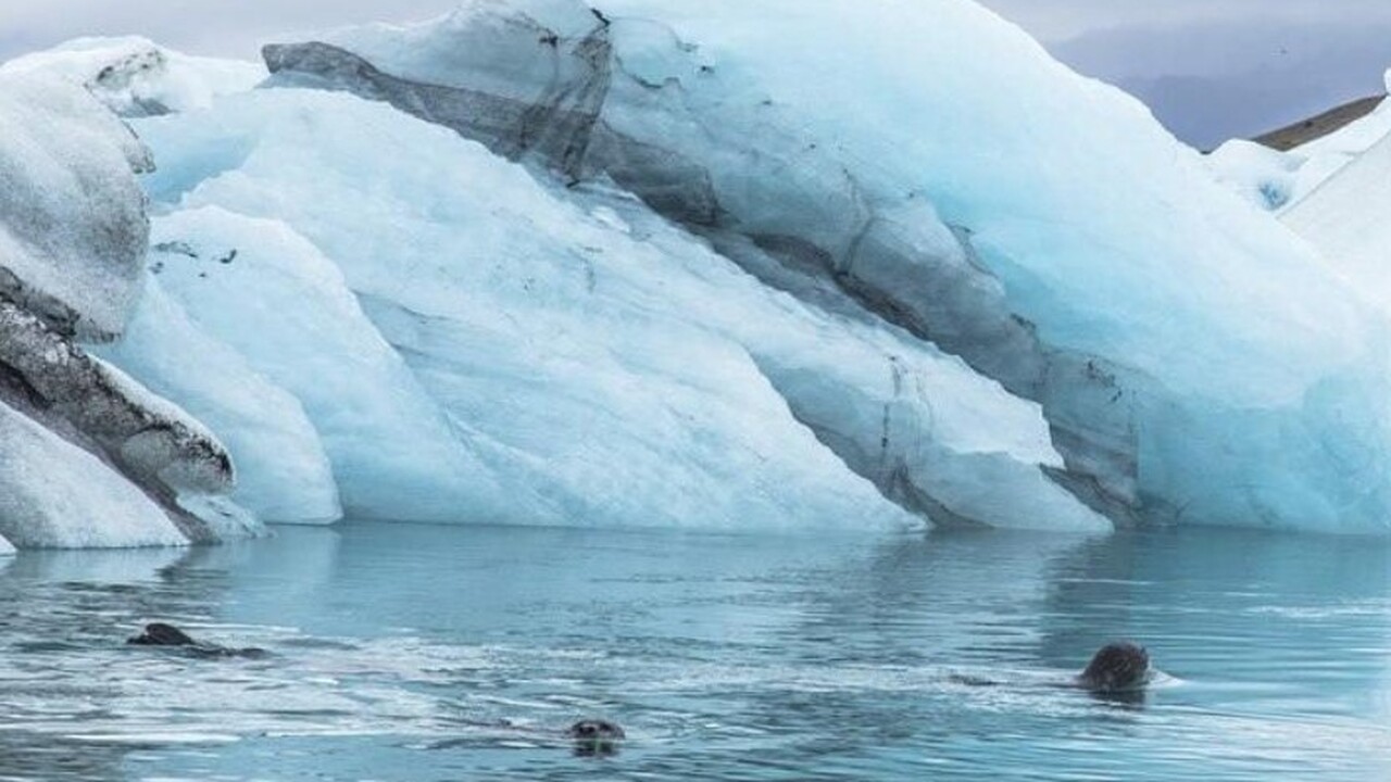 В России школьница изобрела лазер для очистки Севморпути от льда Ученица средней школы из подмосковного города К...