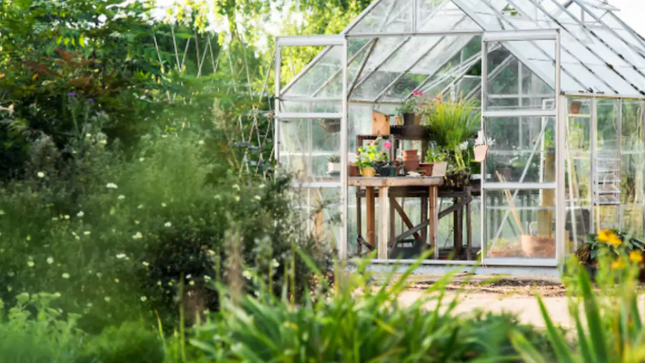 Анализ рынка товаров для сада, строительства и ...