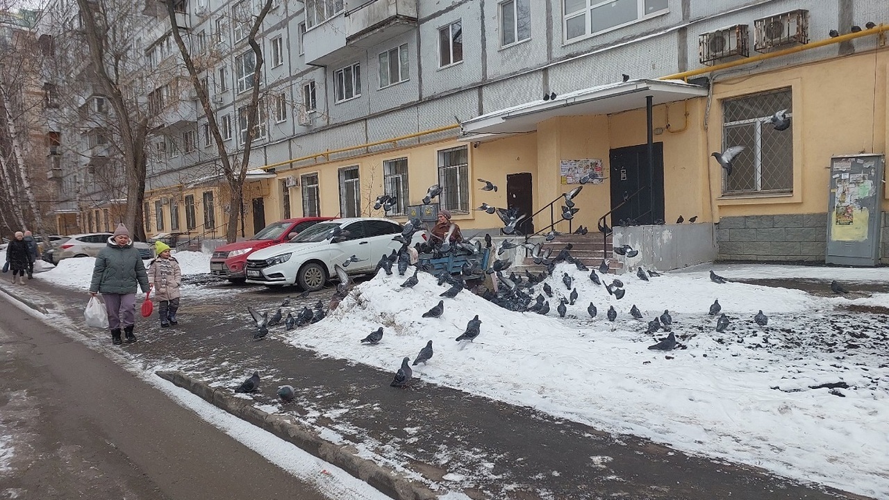 Погода в Москве: от заморозков к теплу! Узнайте...