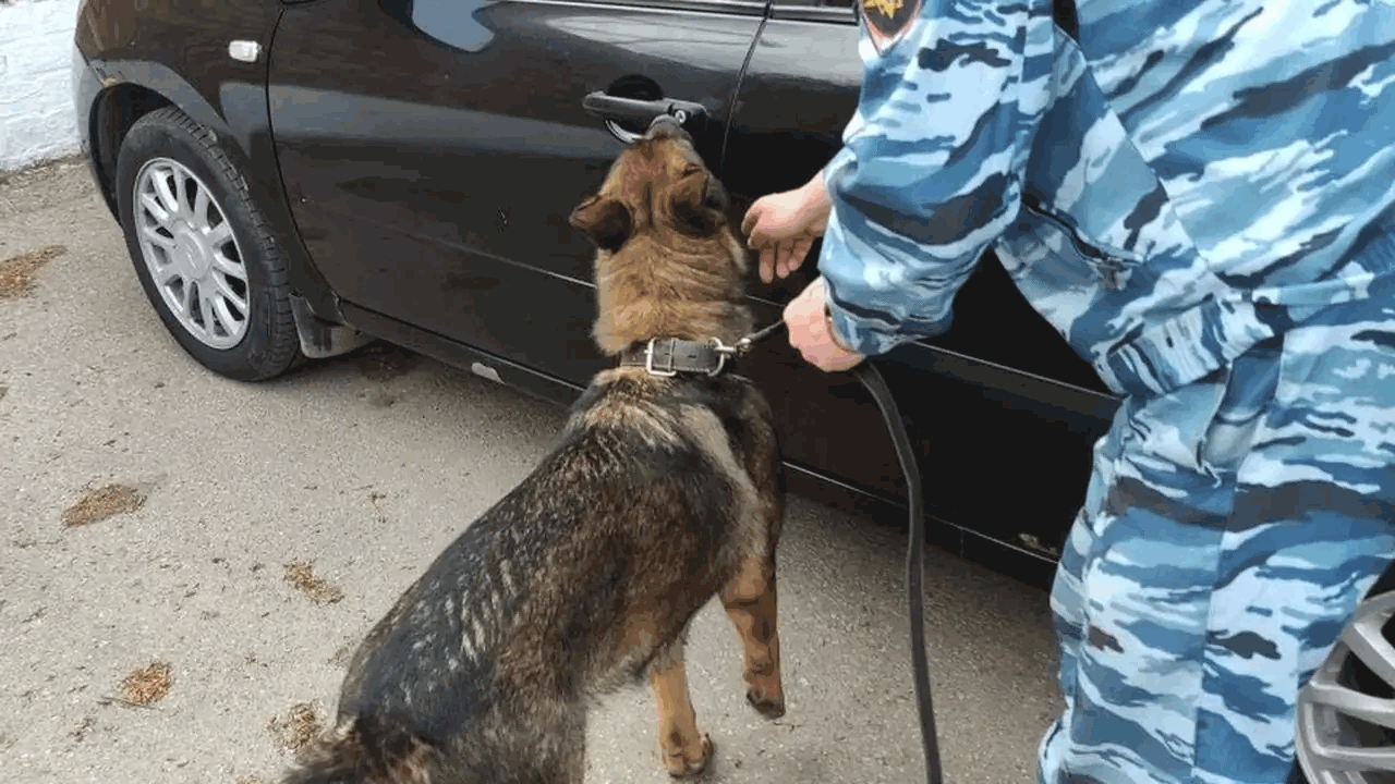 В Самарской области водителя BMW задержали за хранение наркотиков На контрольно-пропускном пункте «Рубеж», распол...