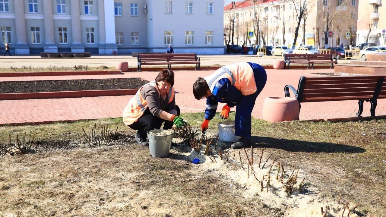 Каждый год на территории Самарской области пров...