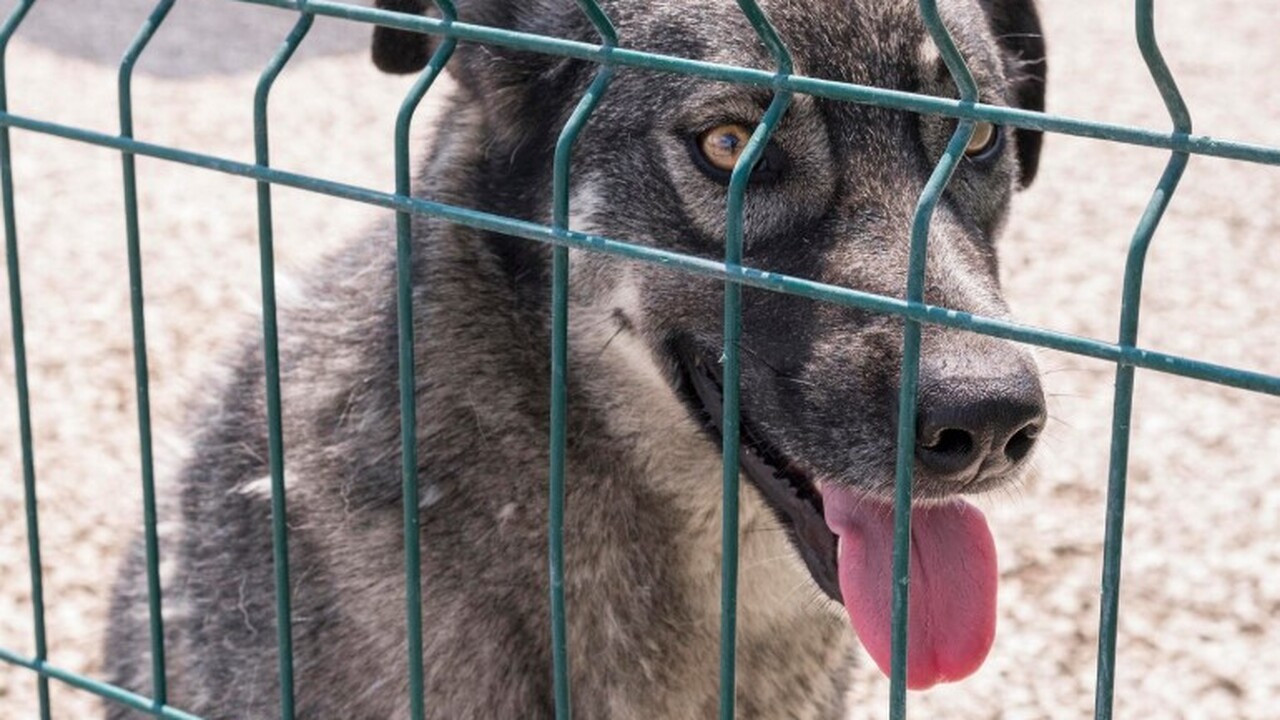 В Новокуйбышевске суд вынес решение в пользу не...