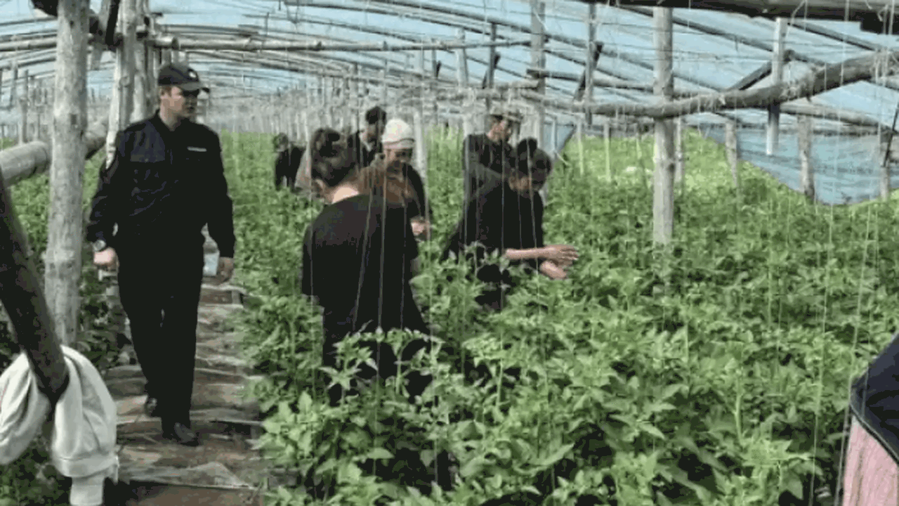 С начала июня в областном центре реализуется ко...