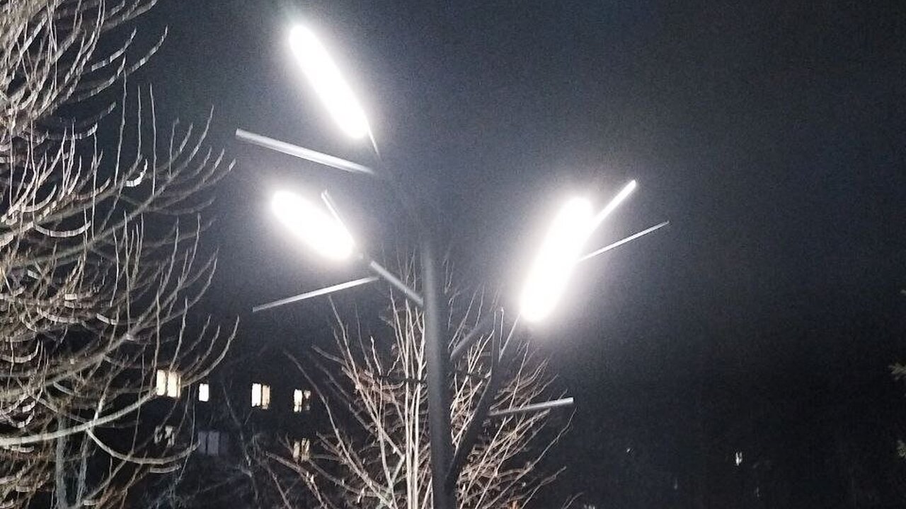 В Новокуйбышевске появилось светящееся дерево На аллее улицы Свердлова появился новый арт-объ...