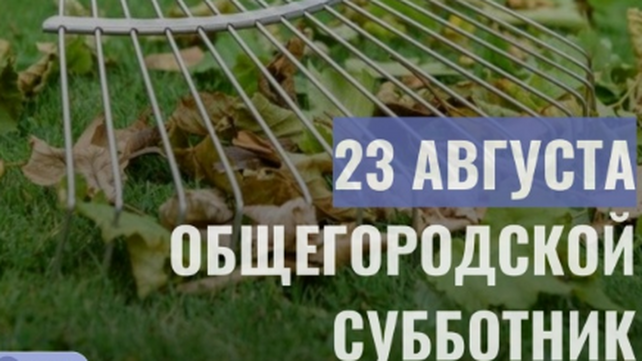 В Новокуйбышевске 23 августа пройдет общегородской субботник В Новокуйбышевске завтра, 23 августа, пройдет о...