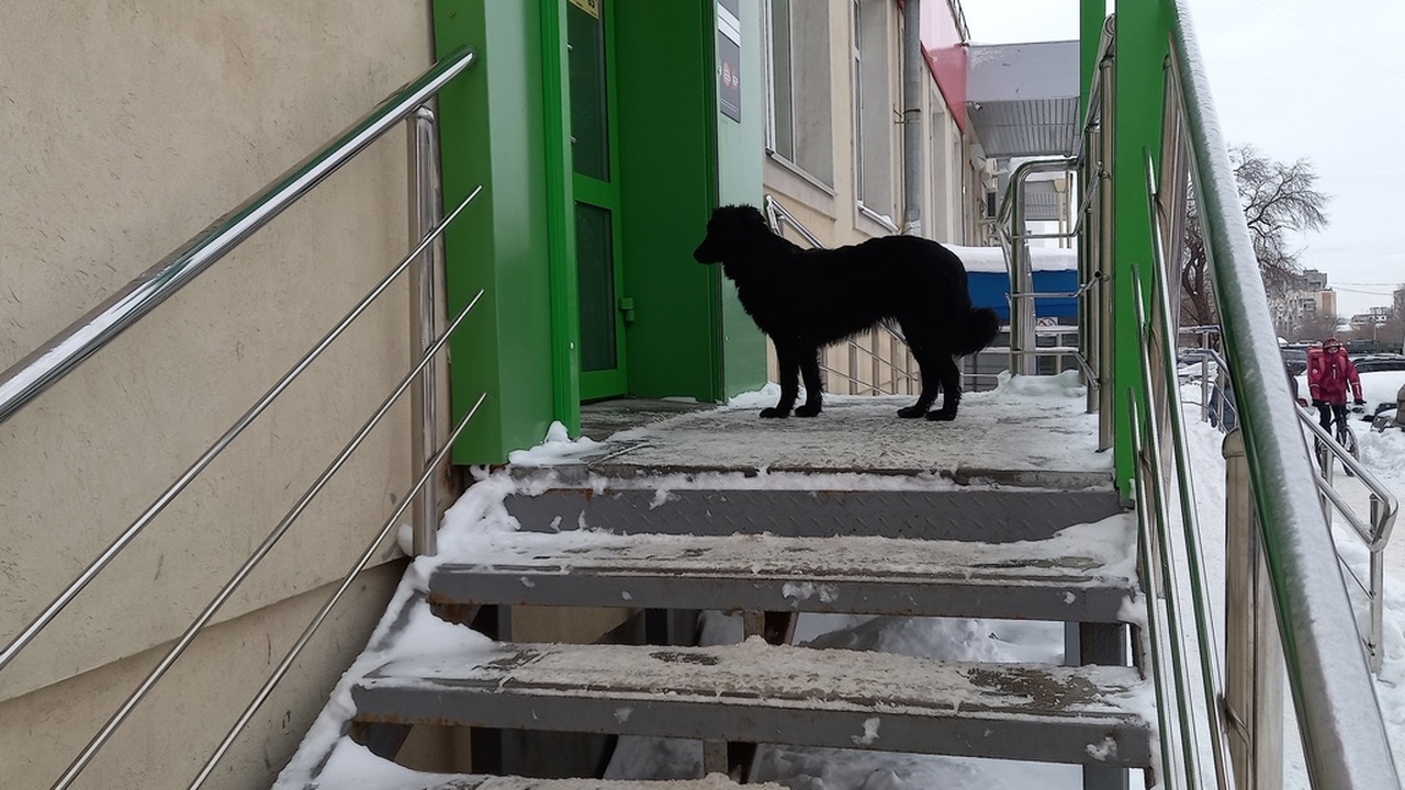 На днях в Самарской области произошла чрезвычай...