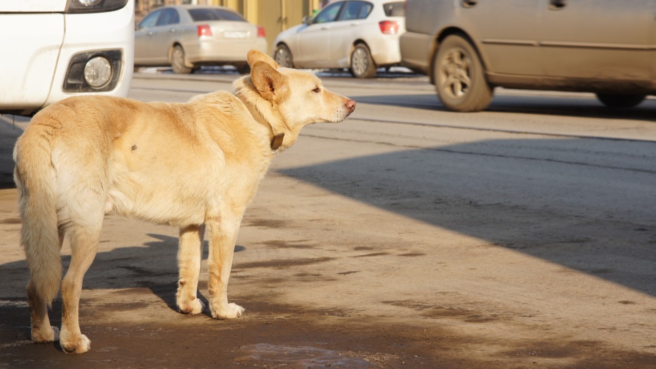 В Новокуйбышевске в июне 2025 года произошёл ин...
