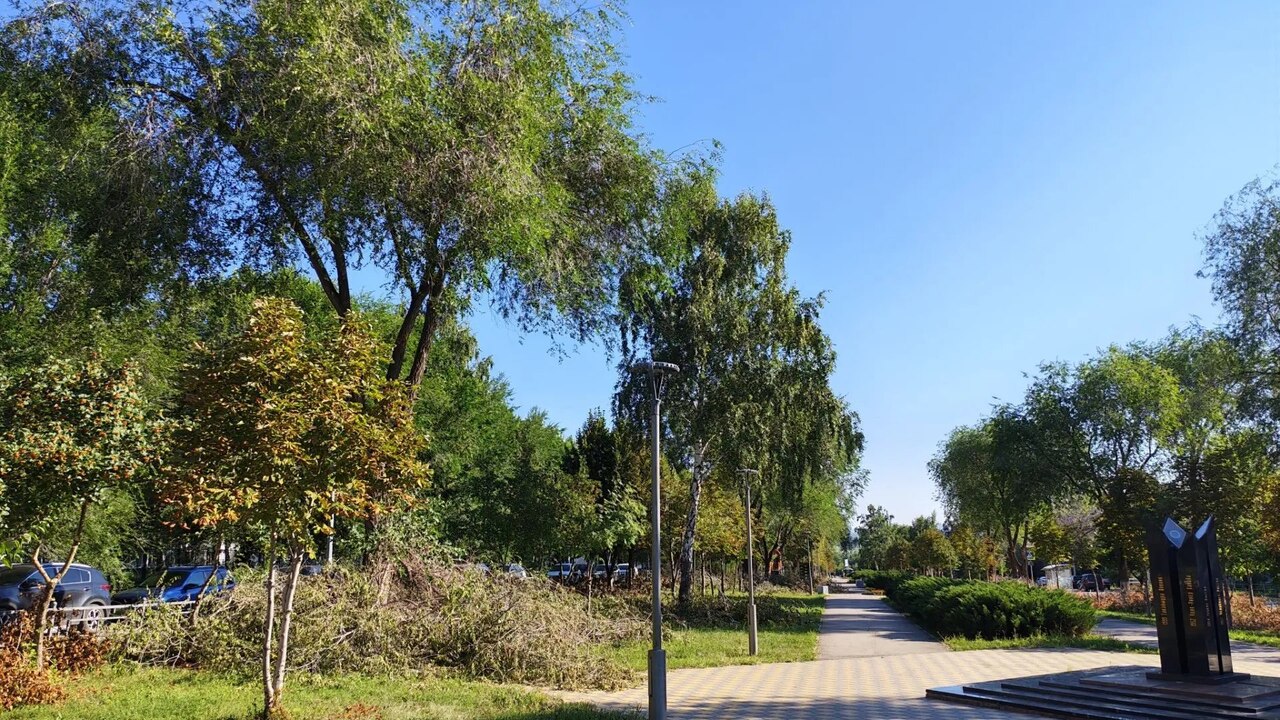 В Новокуйбышевске продолжаются работы по санитарной обрезке деревьев В городе продолжается санитарная обрезка деревь...