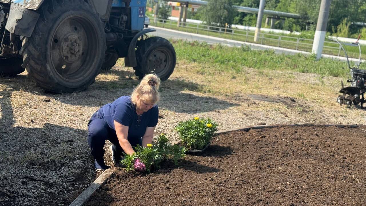В Новокуйбышевске дополнительно высадят более 8 тысяч цветов В официальном Telegram-канале главы городского ...