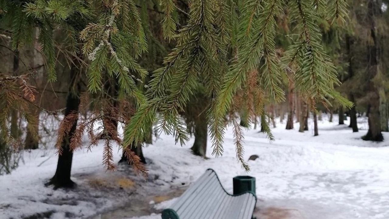 Ледяной дождь не за горами. Погода преподнесёт ...