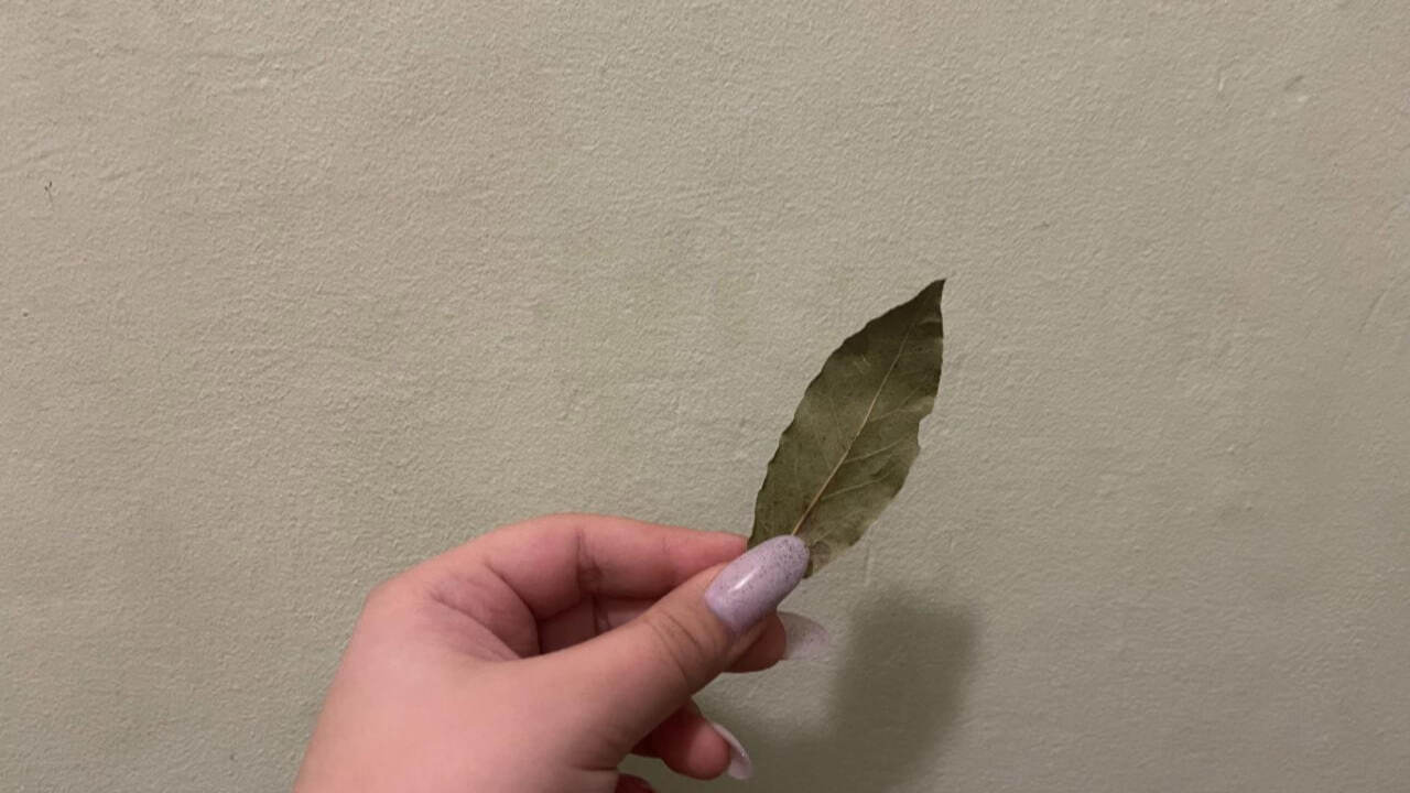 Лавровый лист является не только кулинарной при...