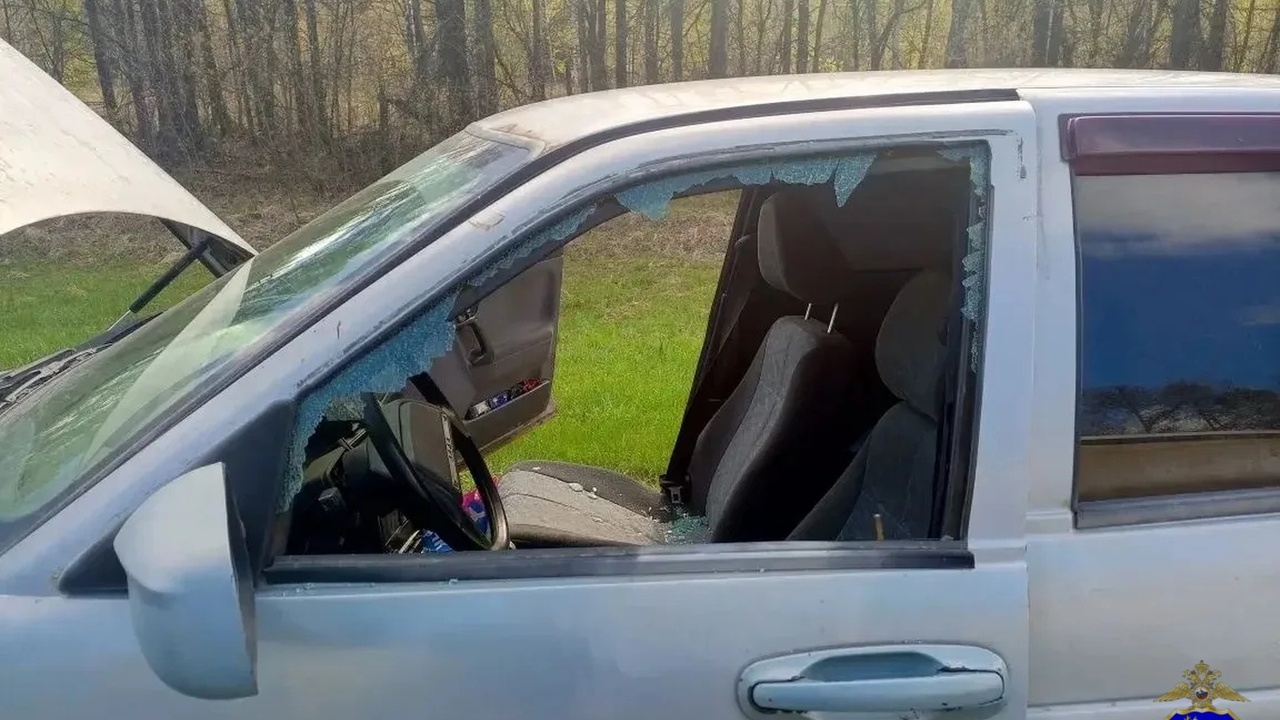 В Самарской области задержан житель Тольятти за попытку угона авто у грибников Полиция в Елховском районе расследует дело об у...