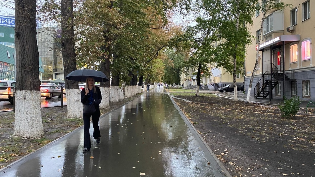 Узнайте об аномально теплой зиме, которую предс...