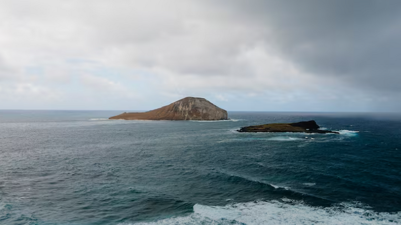 В Тихом океане происходят необратимые изменения, разрушающие тектоническую плиту В глубоководных районах Тихого океана произошло...