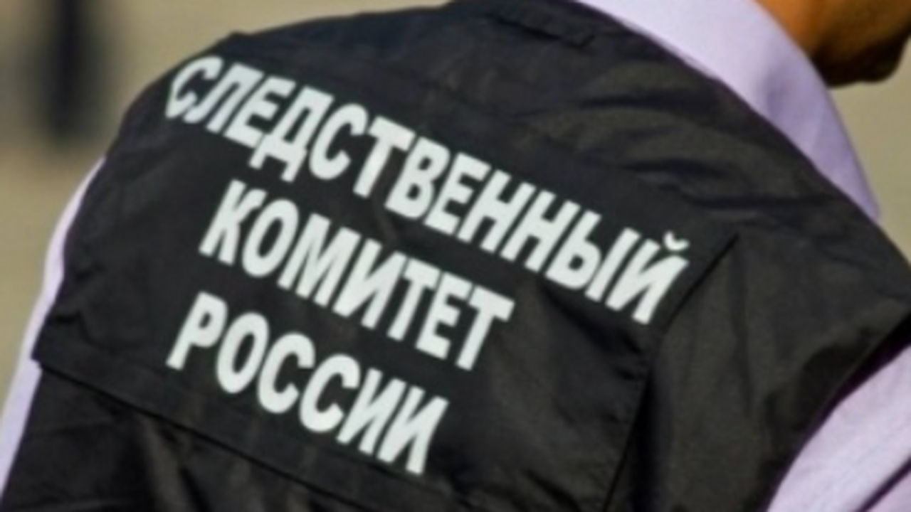 В Новокуйбышевске безнадзорные собаки набросились на девушку Следственное управление Следственного комитета ...