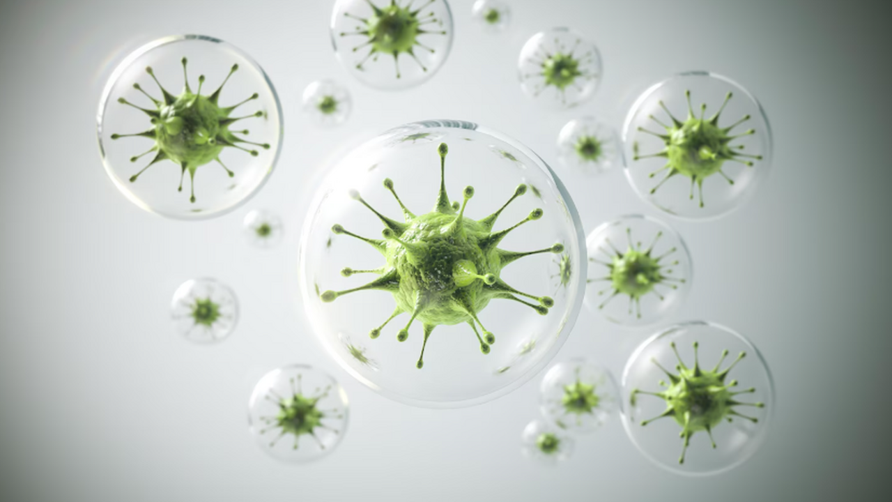 Скрытые носители супербактерий передали их своим близким, не заболев сами В кишечнике некоторых индивидуумов может длител...