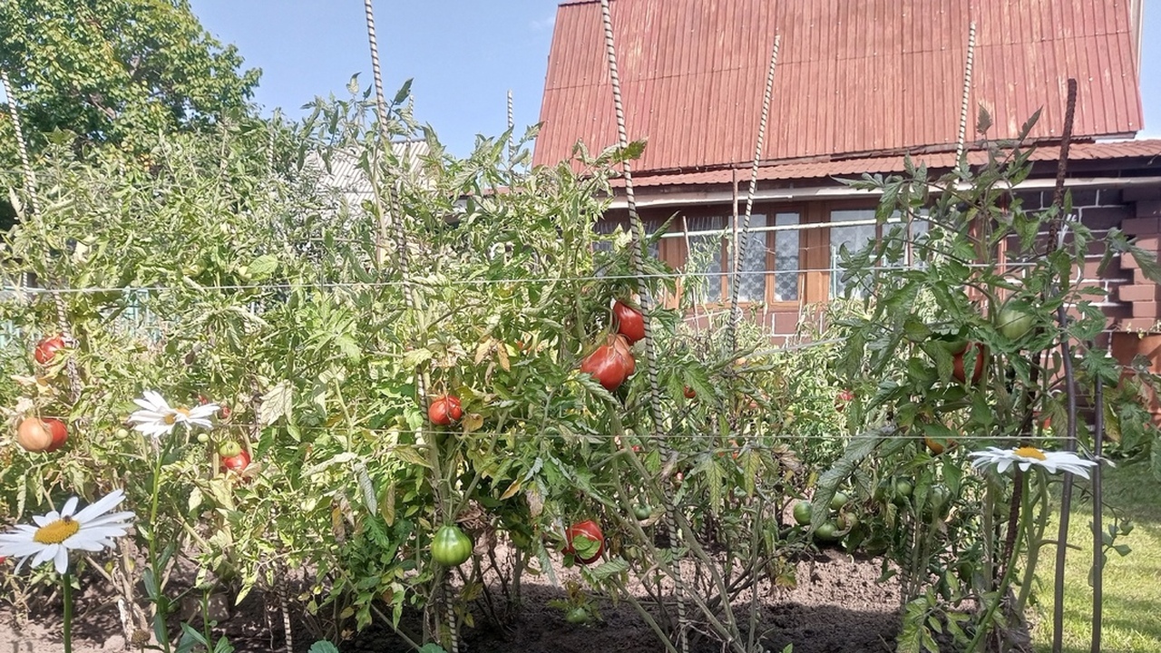 В Новокуйбышевске на сайте и соцсетях администр...