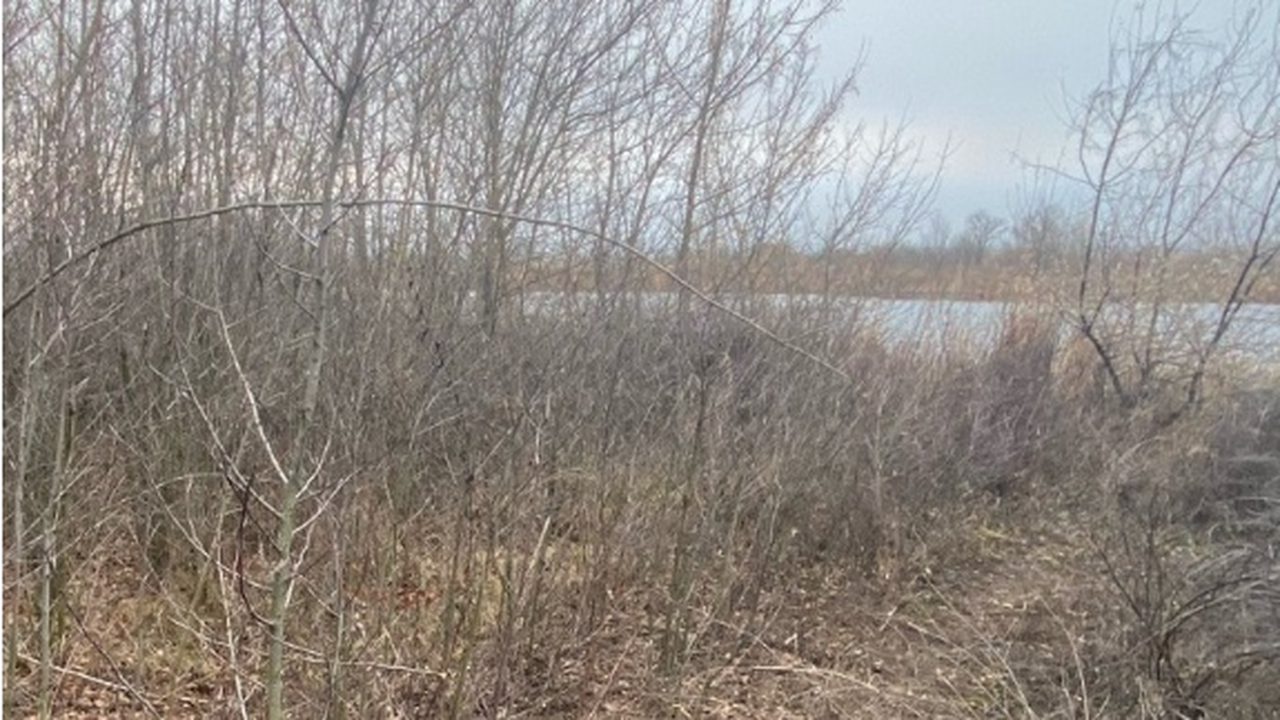 В Новокуйбышевске, Самарской области, суд и слу...