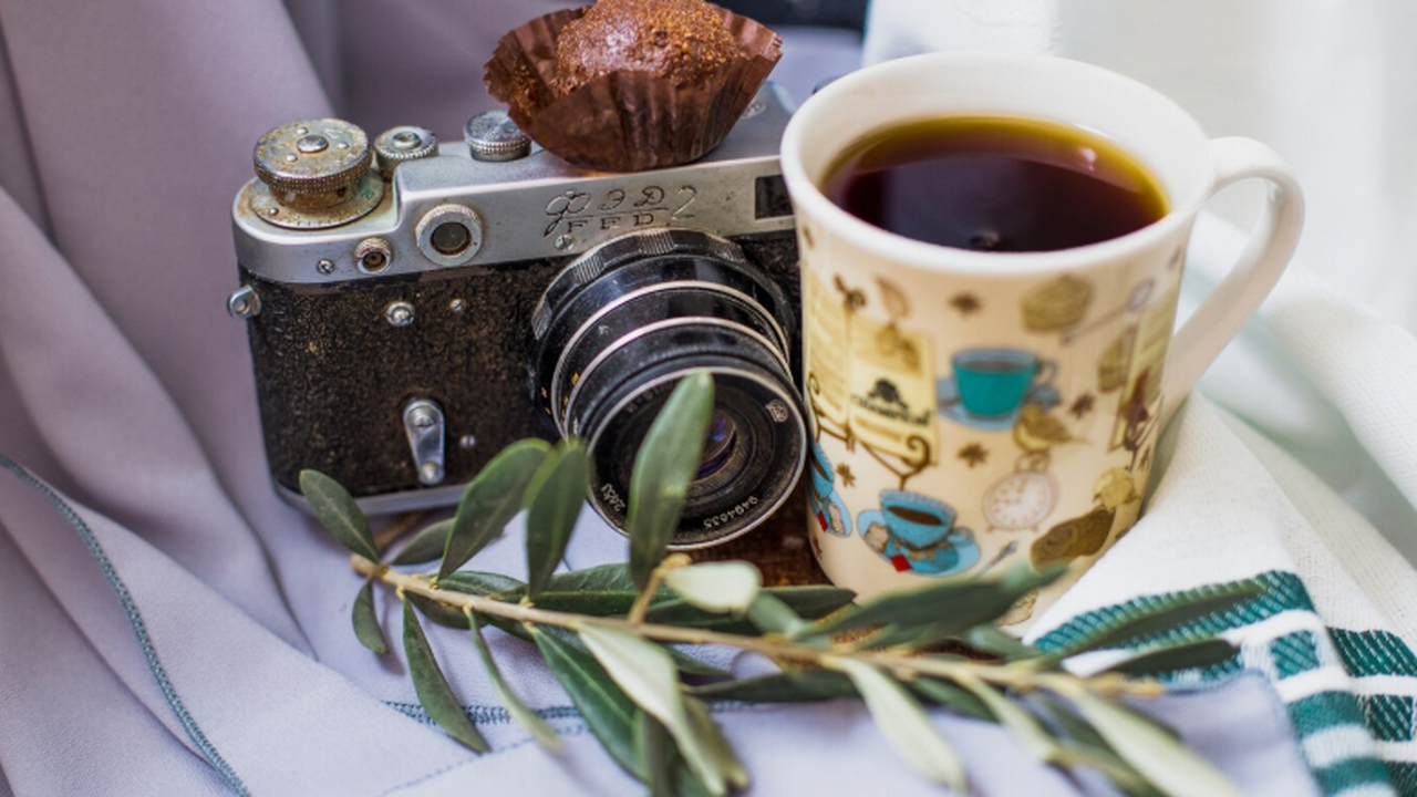 Гарвардские учёные завершили долгосрочное иссле...