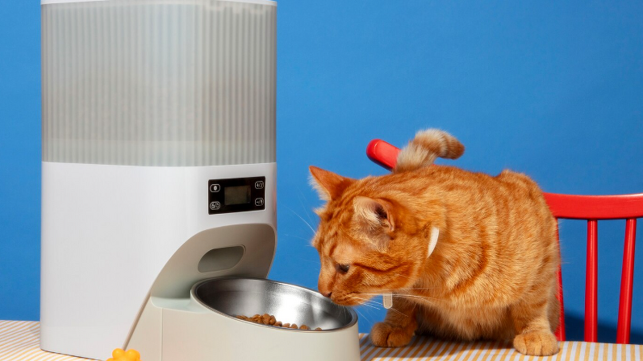 IT-специалист и главный редактор издания Runet....