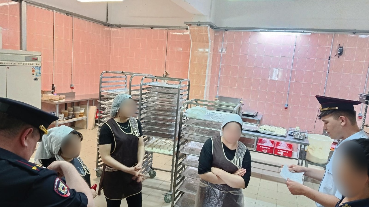 В Тольятти идет проверка овощной базы и хостелов в рамках рейда «Профилактика» В Тольятти на овощной базе, специализирующейся ...