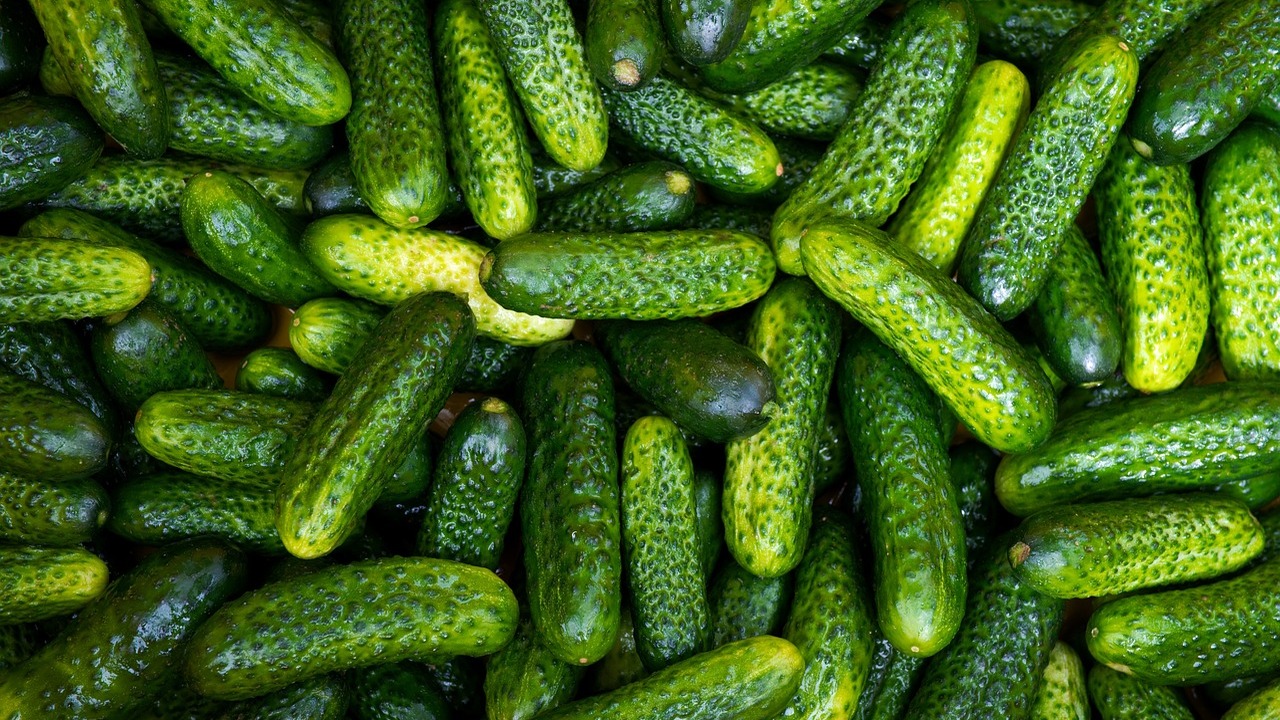 Больше не трачу кучу денег на удобрения: этот простой и очень дешевый способ делает огурцы крупными и вкусным Вы выбрасываете кожуру от бананов? Ошибаетесь!
