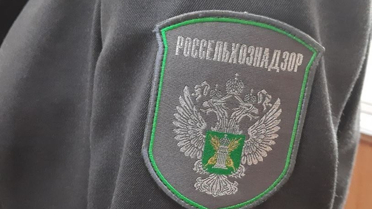 За этот же период на складе временного хранения...