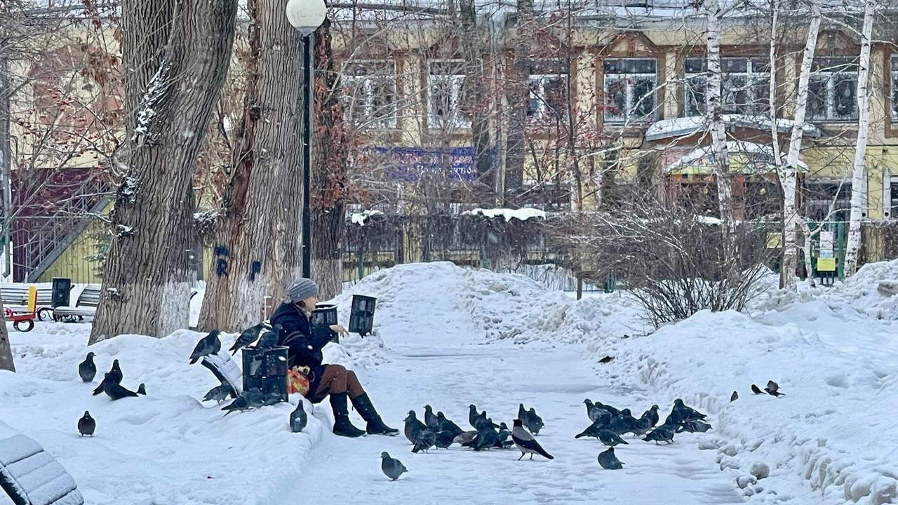 В январе в России будет контрастная погода: ано...