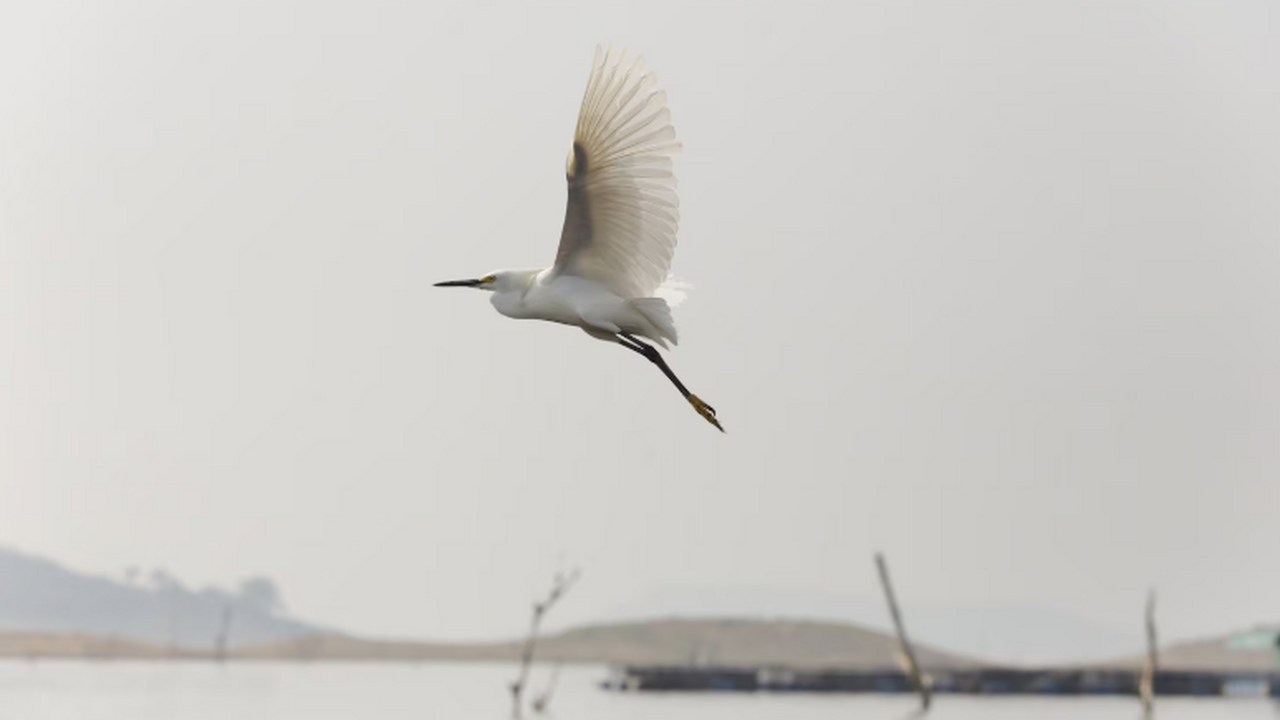 3 декабря 2025 года с 9:00 в концертном зале Де...