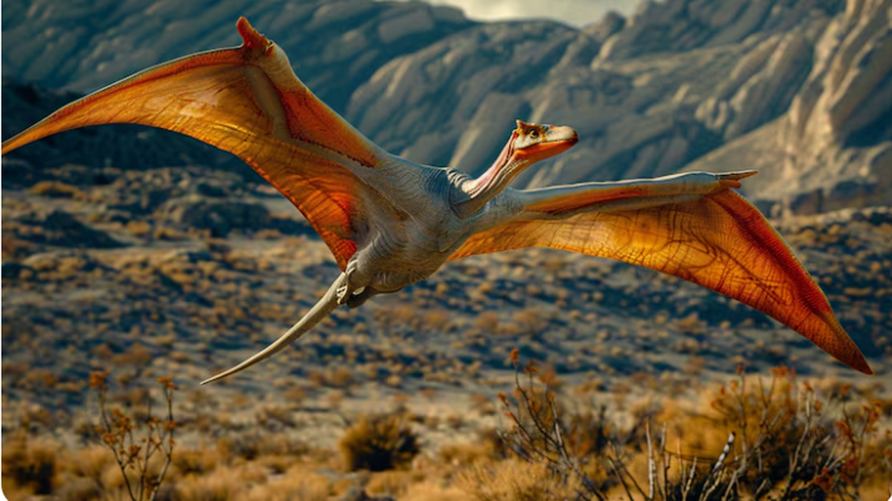 Следы схватки двух динозавров и целый череп одного из них обнаружили в США В 2005 году в округе Доусон, штат Монтана, США,...