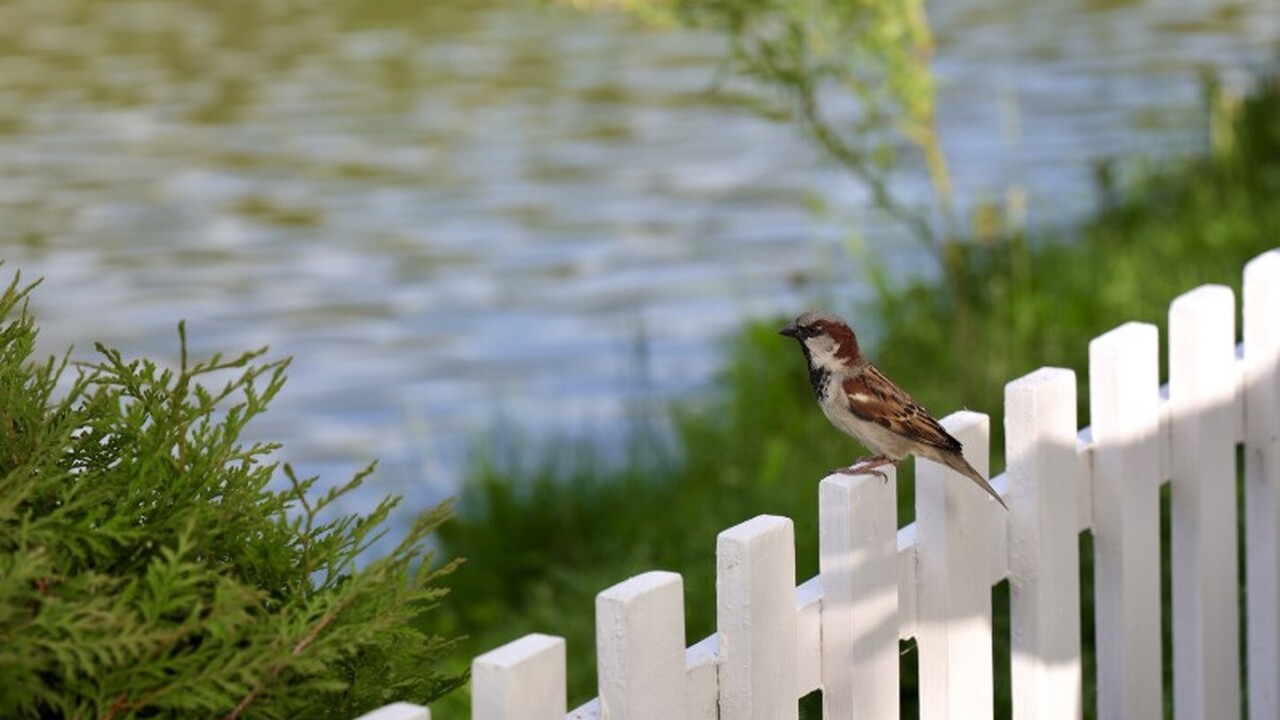 В Новокуйбышевске был инициирован судебный проц...