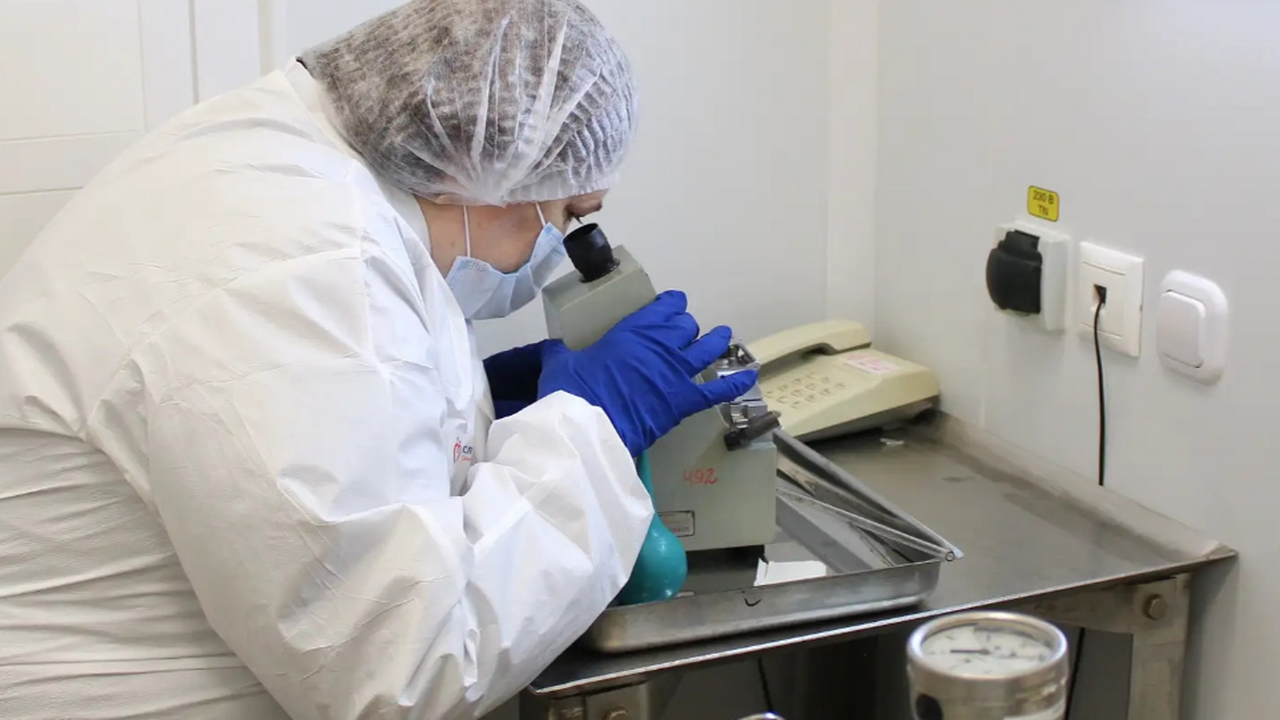 В Самарской областной станции переливания крови...