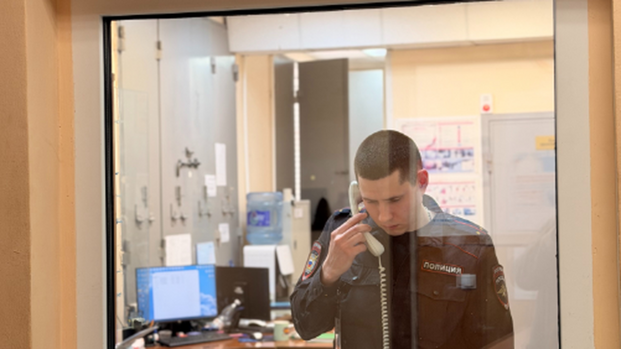 В феврале текущего года в дежурную часть Безенч...