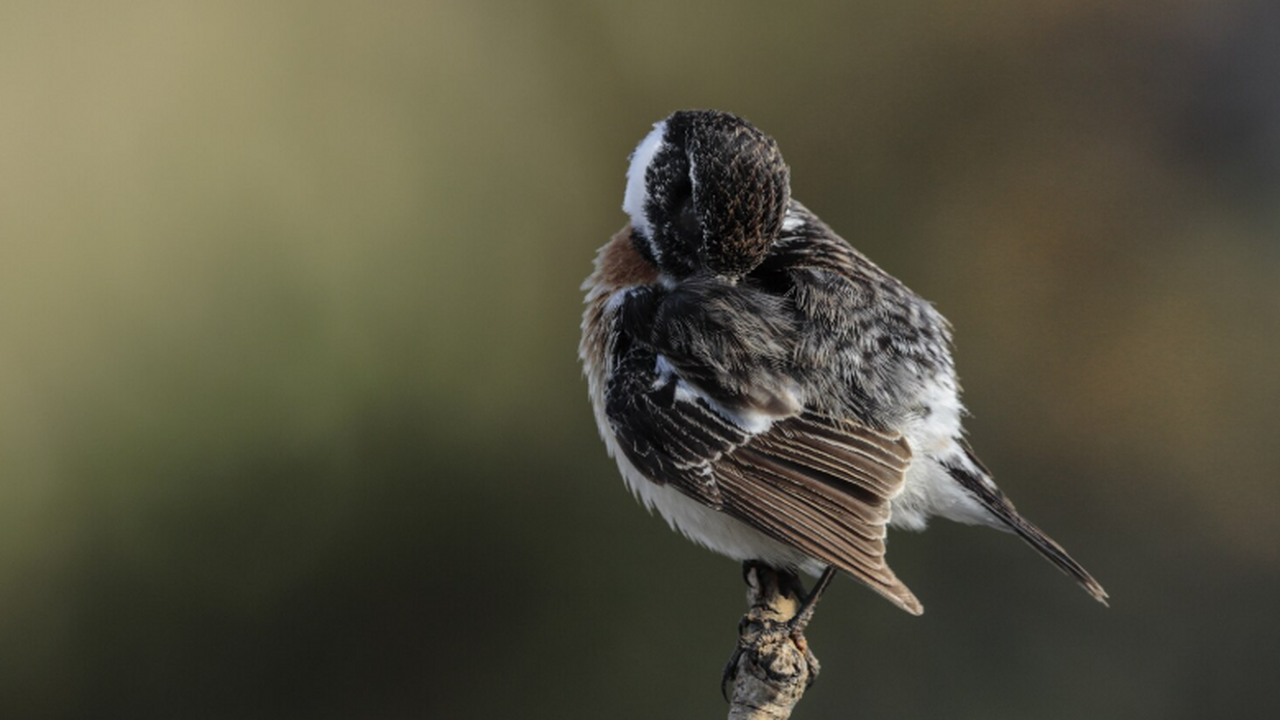 В период с 2023 по 2024 годы зарегистрировано б...
