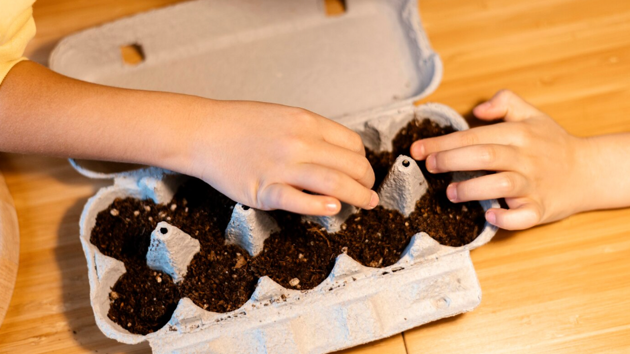 Начало нового года — это ключевой момент для пл...