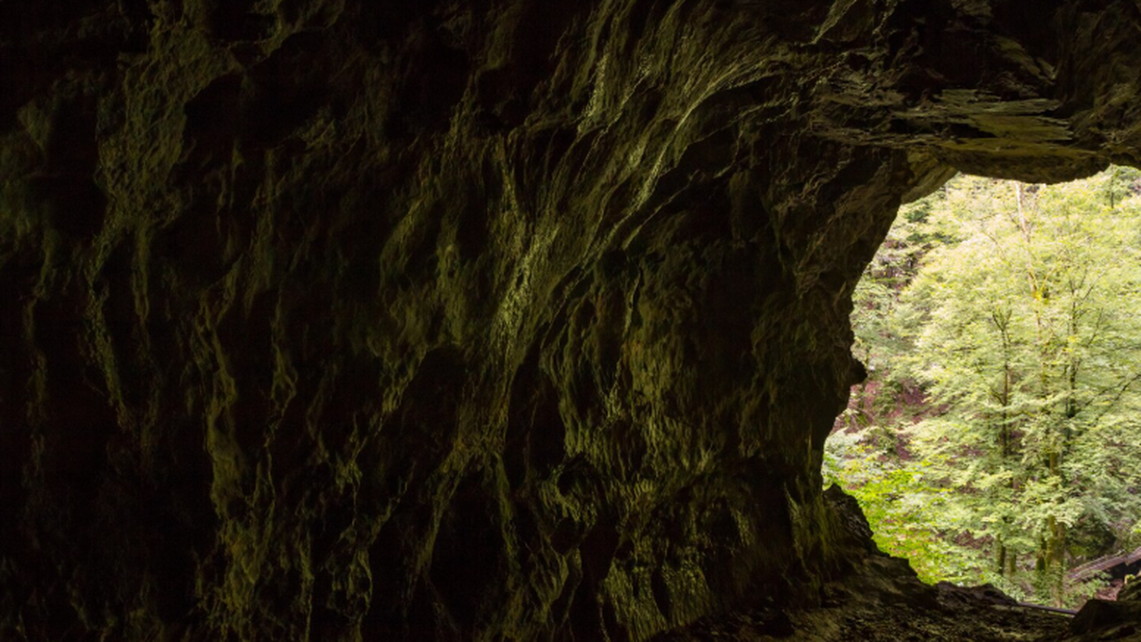 В Новой Зеландии ученые нашли пещеру с останками животных возрастом 1 млн лет Археологические исследования в системе пещер Ва...