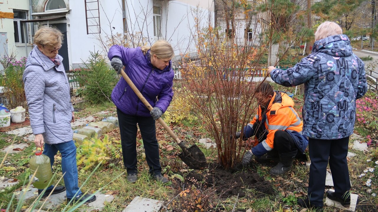 Во дворах Новокуйбышевска начали высаживать цветы по результатам конкурса Четырнадцать дворов, ставших победителями город...