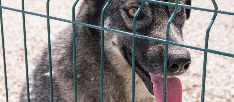 В Новокуйбышевске суд вынес решение в пользу не...