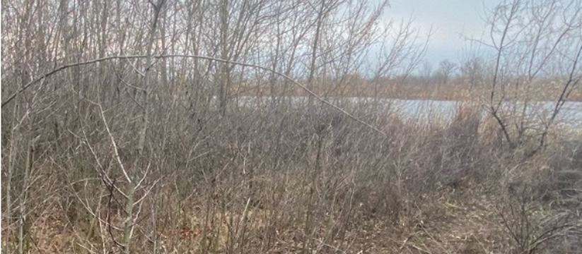 В Новокуйбышевске, Самарской области, суд и слу...