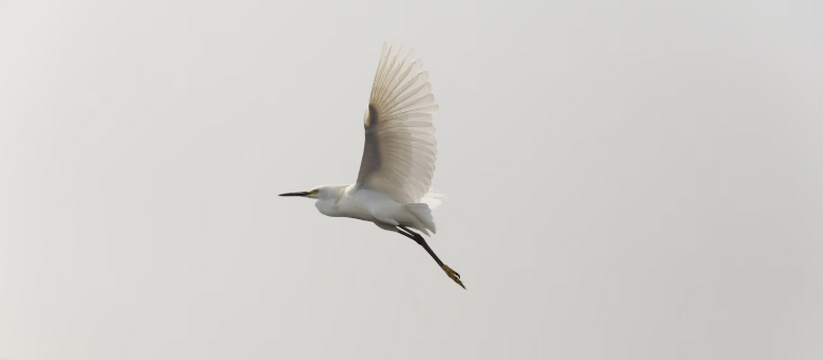 3 декабря 2025 года с 9:00 в концертном зале Де...