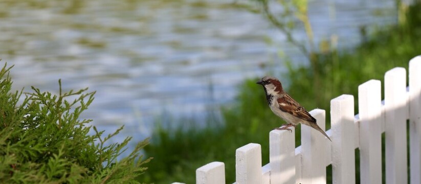 В Новокуйбышевске был инициирован судебный проц...