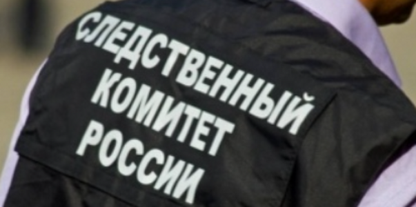 В Новокуйбышевске безнадзорные собаки набросили...