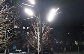 В Новокуйбышевске появилось светящееся дерево