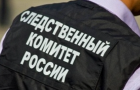 В Новокуйбышевске безнадзорные собаки набросили...