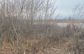 Жительница Новокуйбышевска забором закрыла выхо...