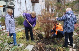 Во дворах Новокуйбышевска начали высаживать цве...